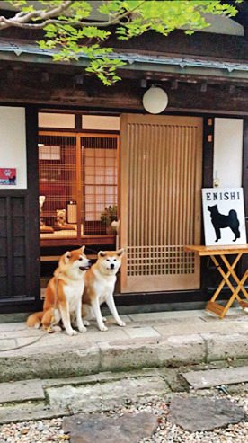 「縁Enishi」では2頭の看板犬がお出迎え