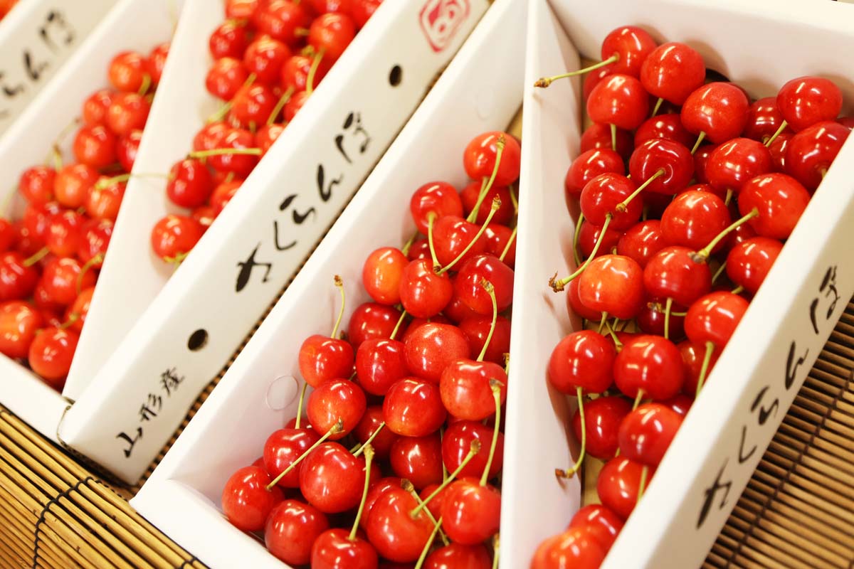 サクランボは時価で販売。この日は「佐藤錦」1箱 700g 6500円