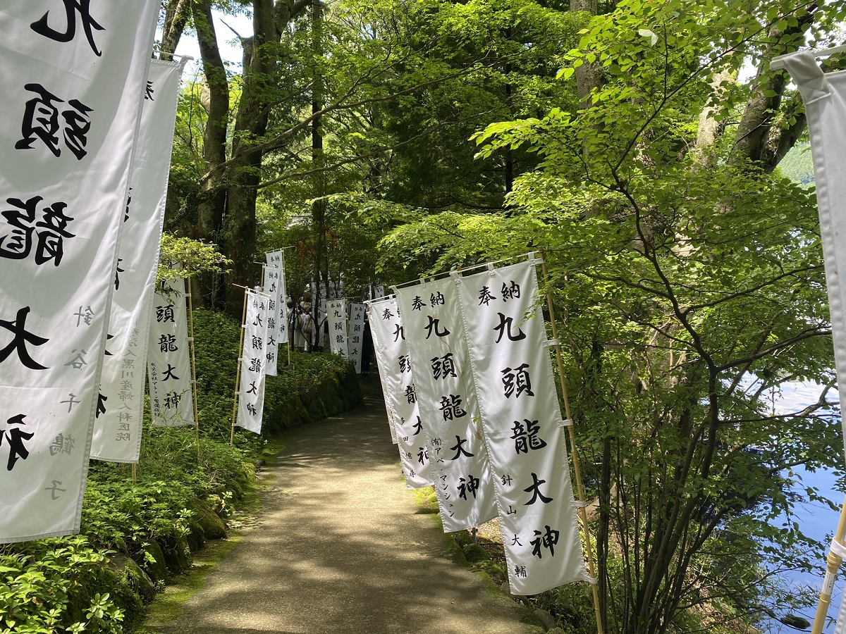 緑深い「九頭龍の森」