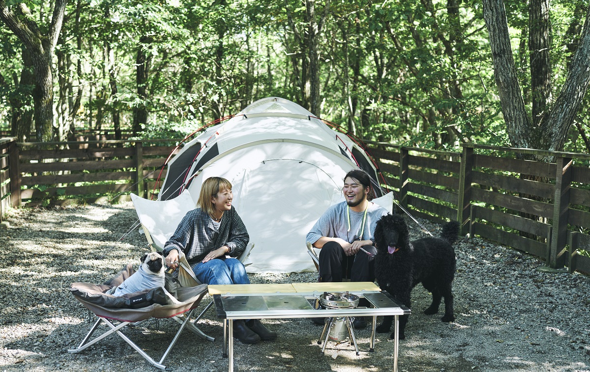 画像はイメージです