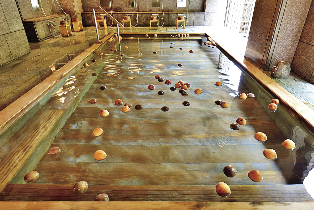 津軽のお宿 南田温泉 ホテルアップルランド