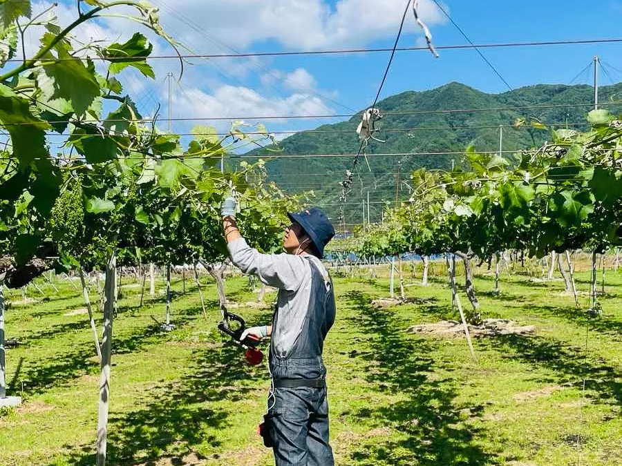 「牧六農園」は農業体験ができる宿泊施設を2023年10月オープン予定