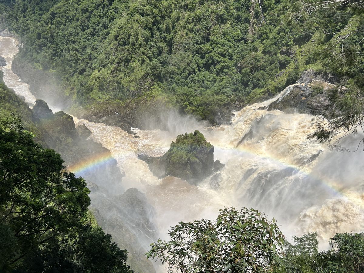 約1億3000万年前の植物が生い茂る森とバロン滝