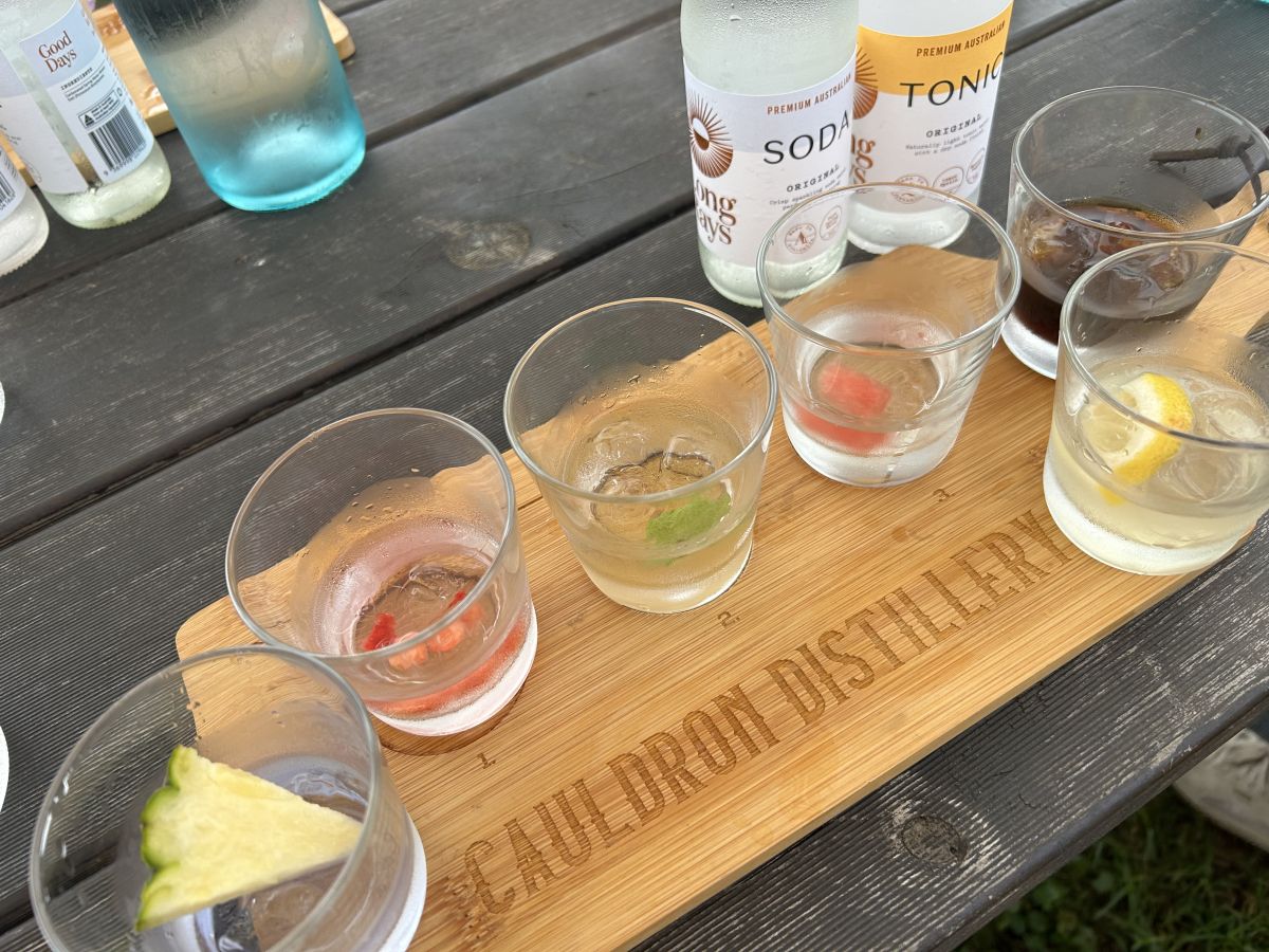 6種類のジンをテイスティング