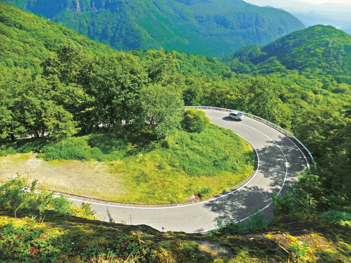 初夏から夏は緑の 木々に包まれ、爽快感 抜群！