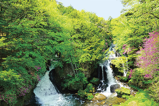 竜のように優美な日光一長い滝