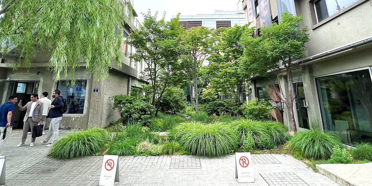 【韓国現地レポ】聖水洞が今アツイ！おしゃれな街歩きと最新スポット6選