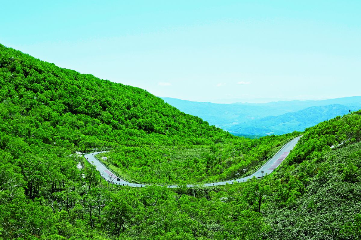 ニセコの山々を縫うように走る道道66号、通称ニセコパノラマライン