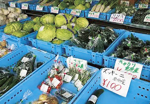 農産物各種 自然薯は3500円／㎏