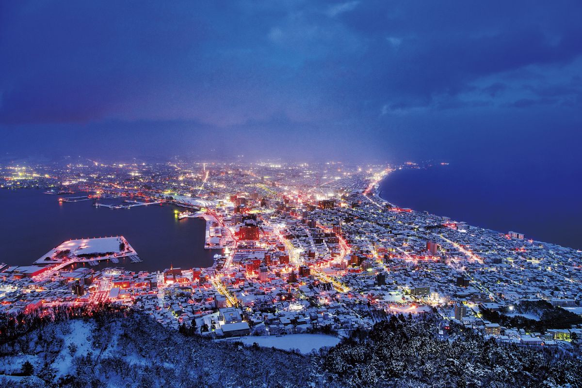 地上に広がる無数の光の中 にクリスマスツリーも