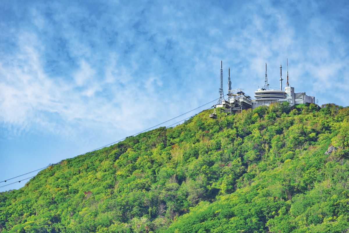 山頂へはロープウェイで