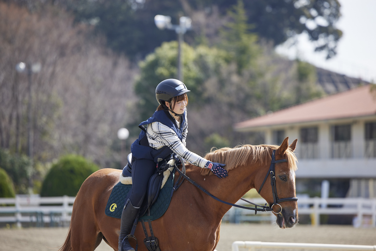 海風を感じながら乗馬体験を楽しめる