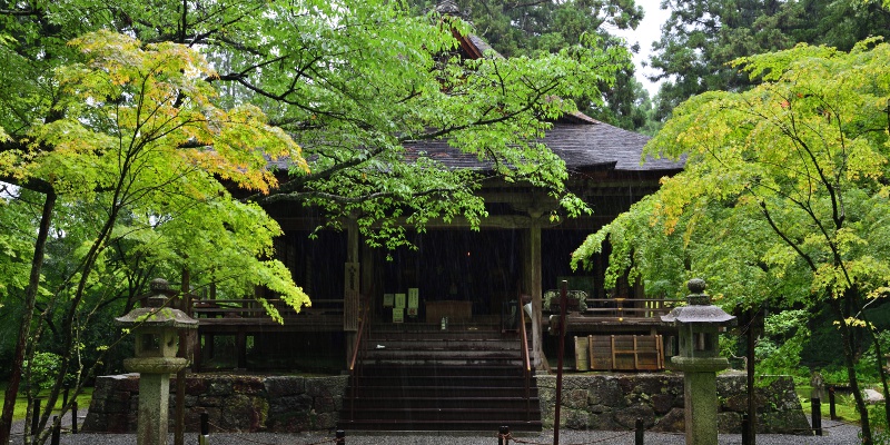 【京都】三千院のみどころやアクセスをチェック！ 桜・アジサイ・苔・紅葉が美しい癒しの地へ