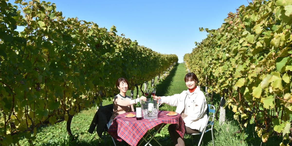 ワイン畑に囲まれて珠玉のワインで乾杯！鮮度抜群の魚介と地野菜をイタリアンで【Yoichi LOOP（北海道 余市町）】