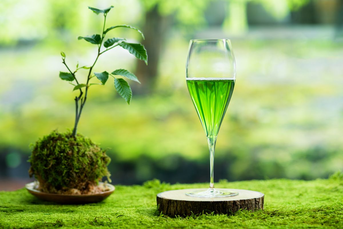 苔スイートルームのウェルカムドリンク