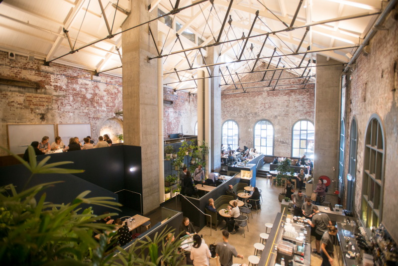 1階、中2階、2階とフロアが広がり、開放感たっぷり