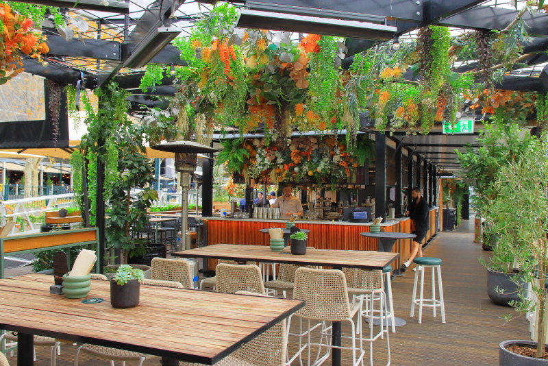 観葉植物などに囲まれたユニークな店内