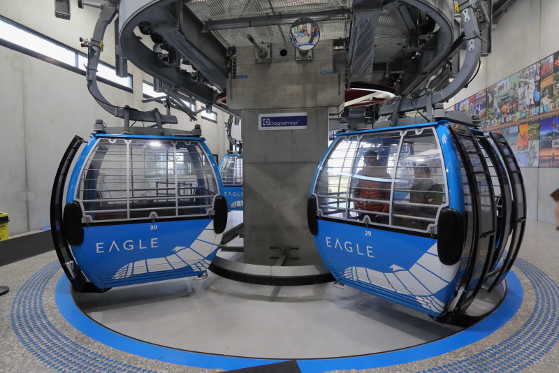 ゴンドラにはオーストラリア最大の猛禽類・ウェッジテールイーグルが描かれている