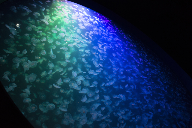 山形観光モデルコース！東北有数のパワスポ・羽黒山や歴史スポットをめぐる旅