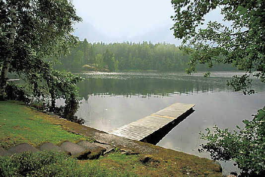 サウナ後は思い切って湖に飛び込んでみよう！