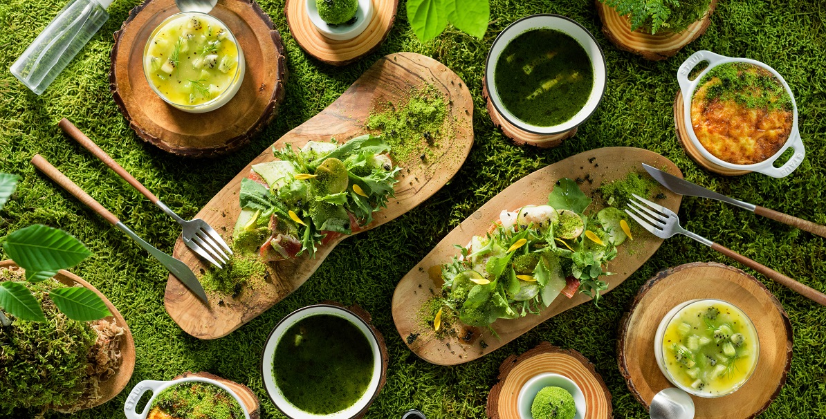 「星野リゾート　奥入瀬渓流ホテル」苔コンテンツ誕生10周年記念！苔三昧できる期間限定宿泊プラン「おいらせ苔旅」