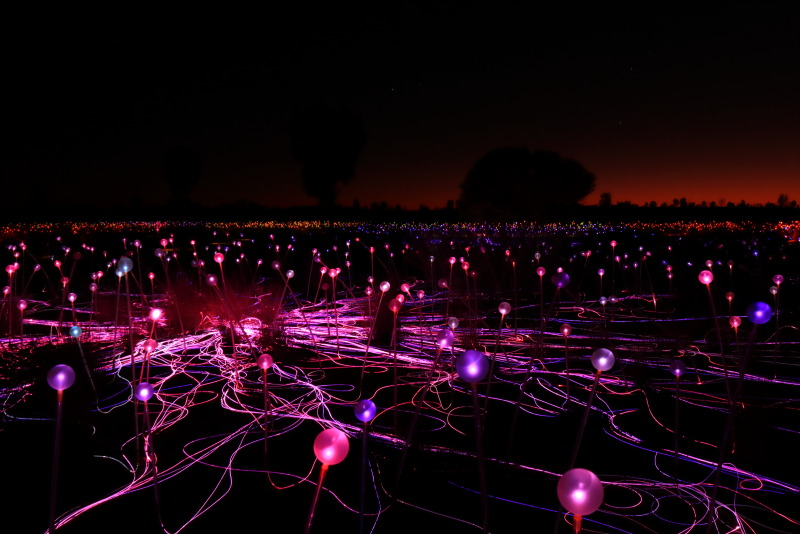 幻想的なフィールド・オブ・ライト