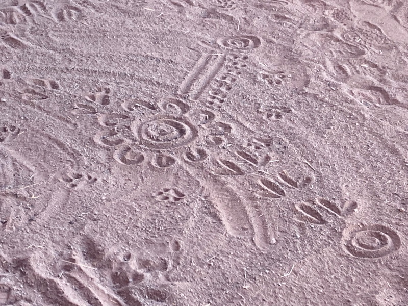 ウルルや、祖先のマラを表すシンボルを砂に描いて物語を説明してくれる