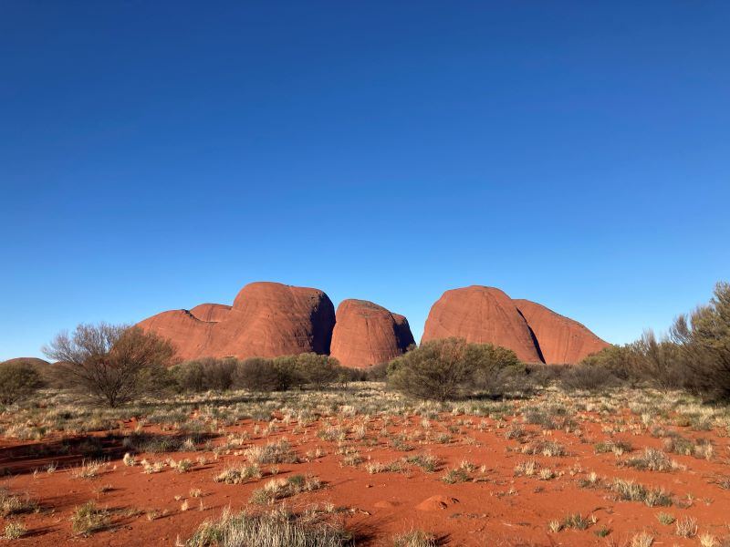 「多くの頭」を意味するカタ・ジュタ