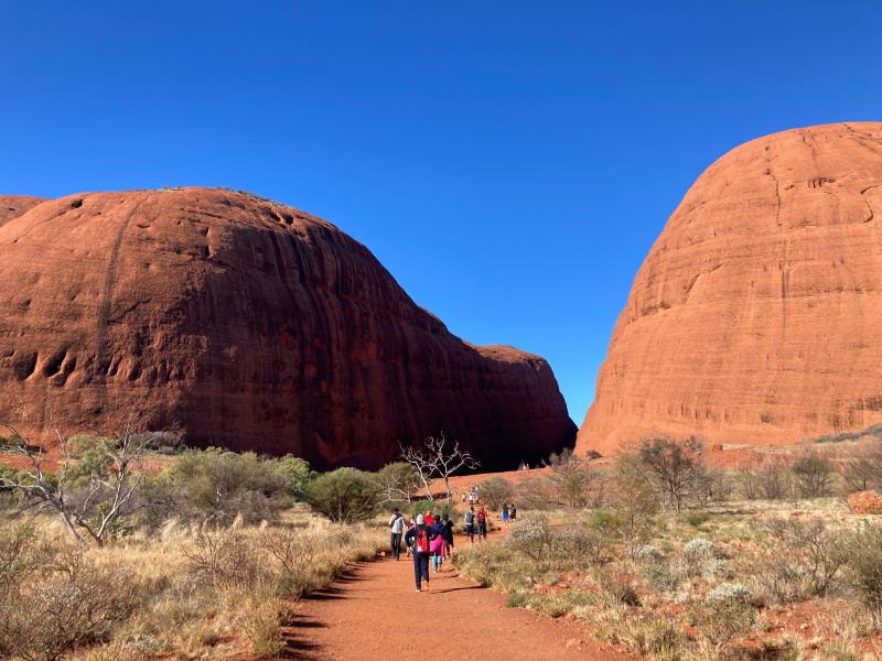 散策路は整備されているが、途中からはデコボコ道を歩く