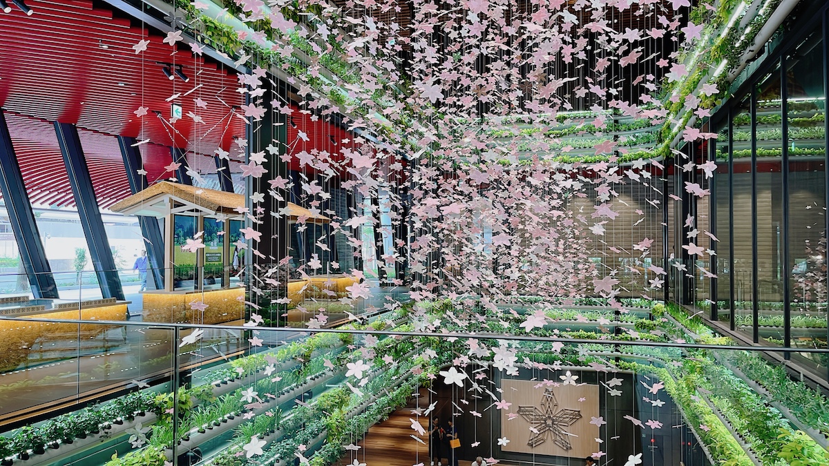 お米を中心とした食文化の体験、食事、買い物が楽しめる！食の魅力が詰まった複合施設「YANMAR TOKYO」