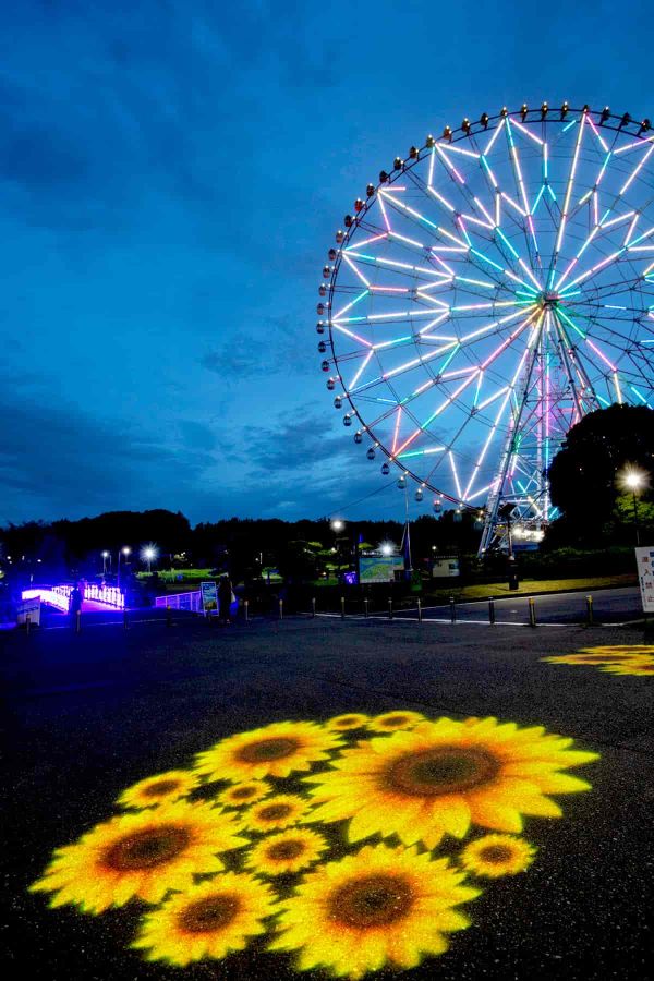 園路のライトアップ