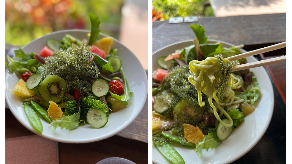 「バジル冷麺」1595円　※8月末まで提供予定