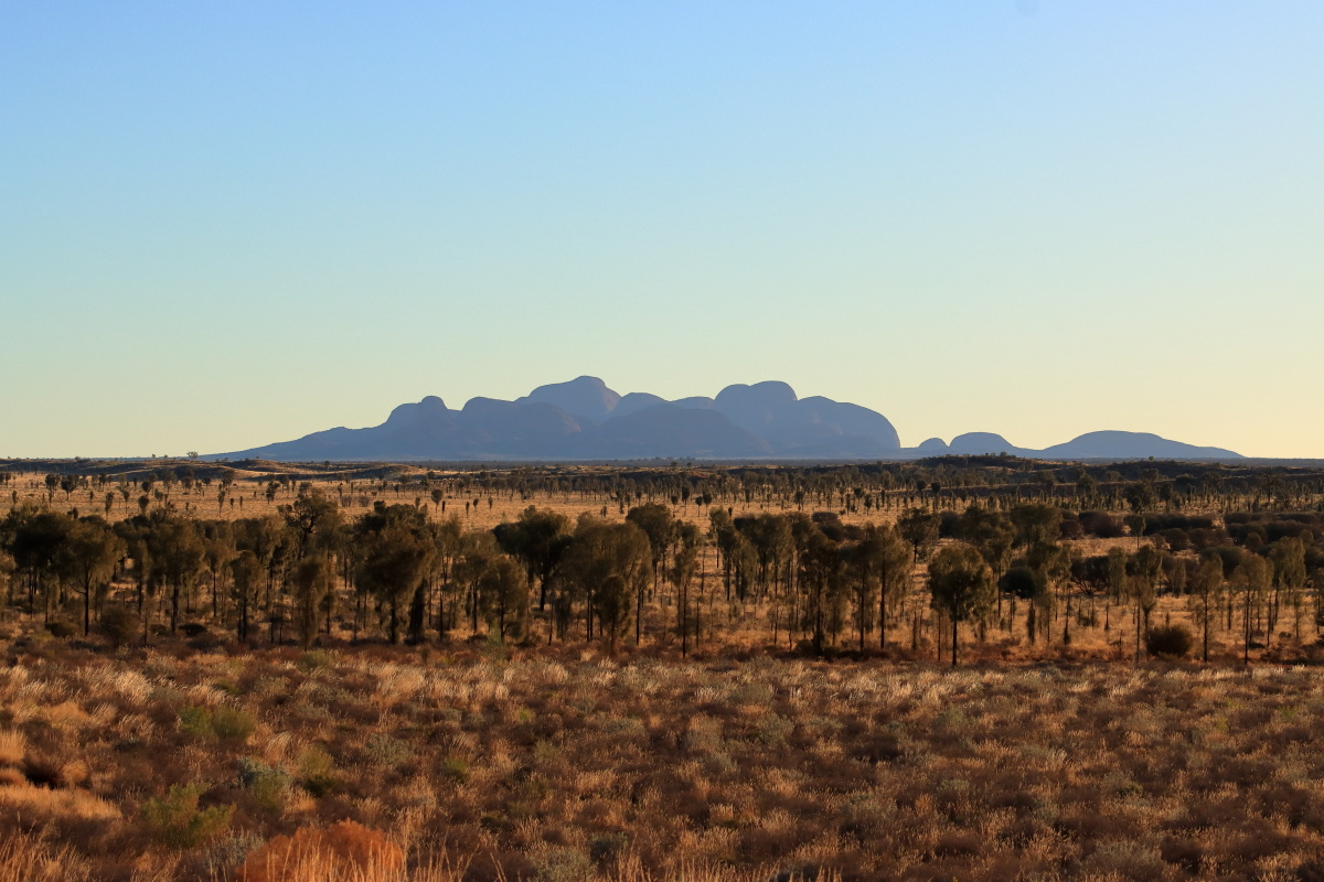 カタ・ジュタも望む