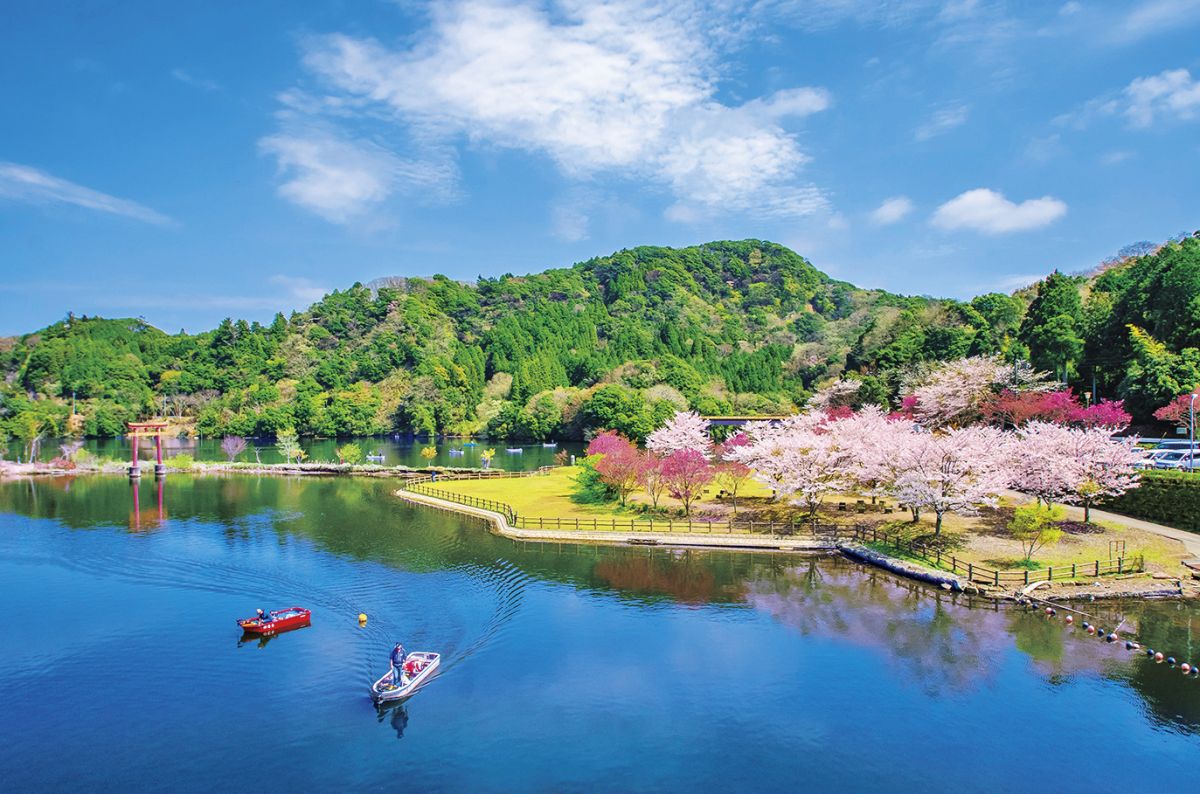 桜の名所としても知られている