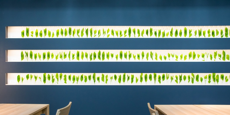 【京都】お茶のテーマパークが宇治に誕生！五感で魅力を体感できる「TEA SQUARE MORIHAN」