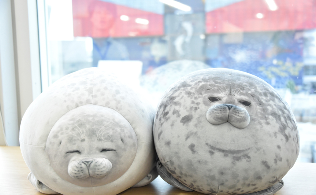 「アザラシビッグクッション」各6820円