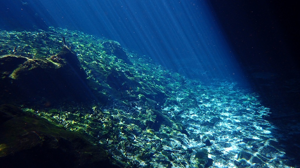水中に射し込む光の束／写真／後藤ゆかり