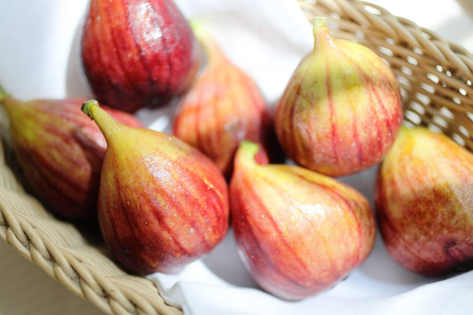 ウェスティンホテル大阪