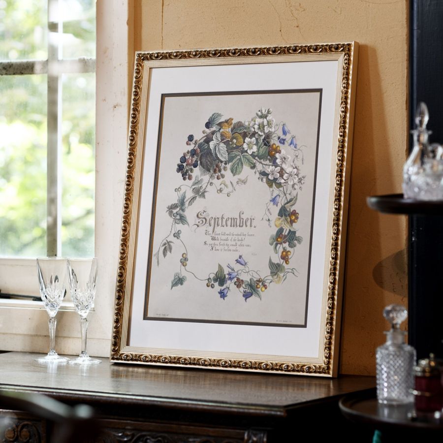 ＜オランジェリーコレクション＞ボタニカルアート 英国の野生植物の四季「September」 132,000円※1点限り