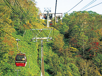 のぼりべつクマ牧場