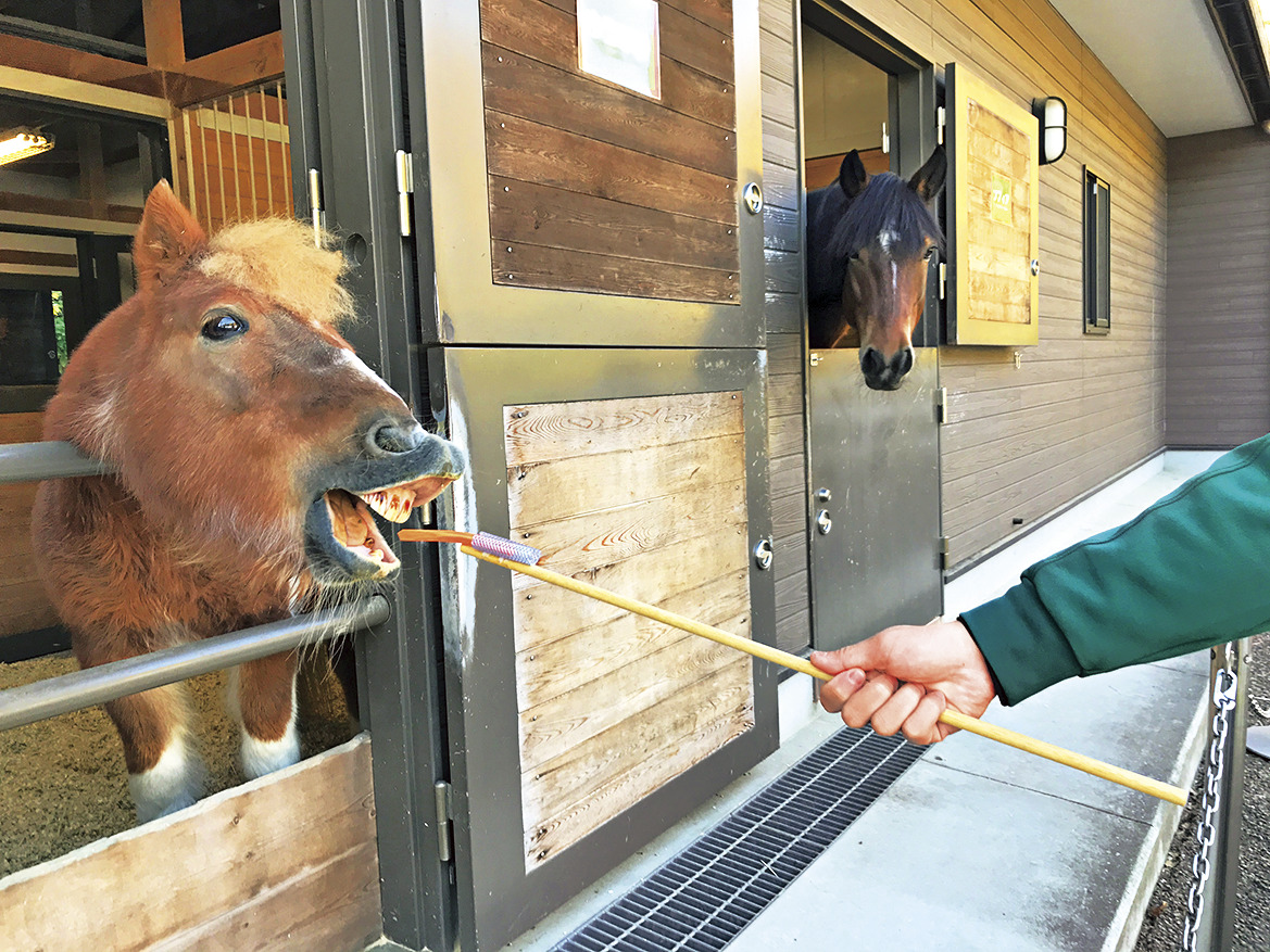 よこはま動物園ズーラシア