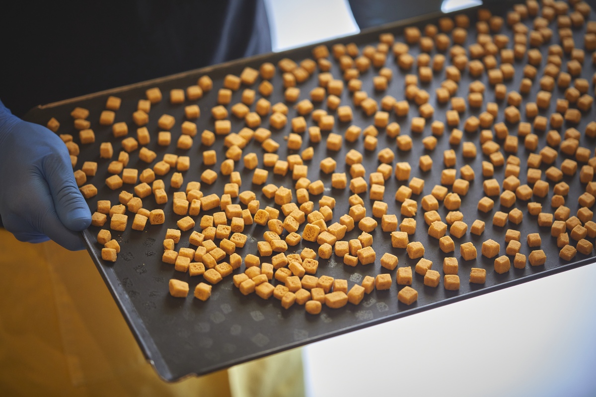 焼き菓子屋 pieni blanc