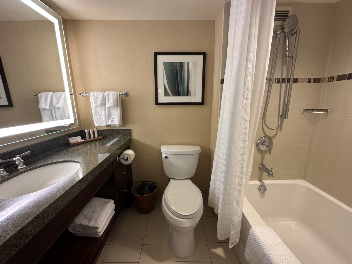 広めのバスタブ、ハンド式のシャワーはうれしい