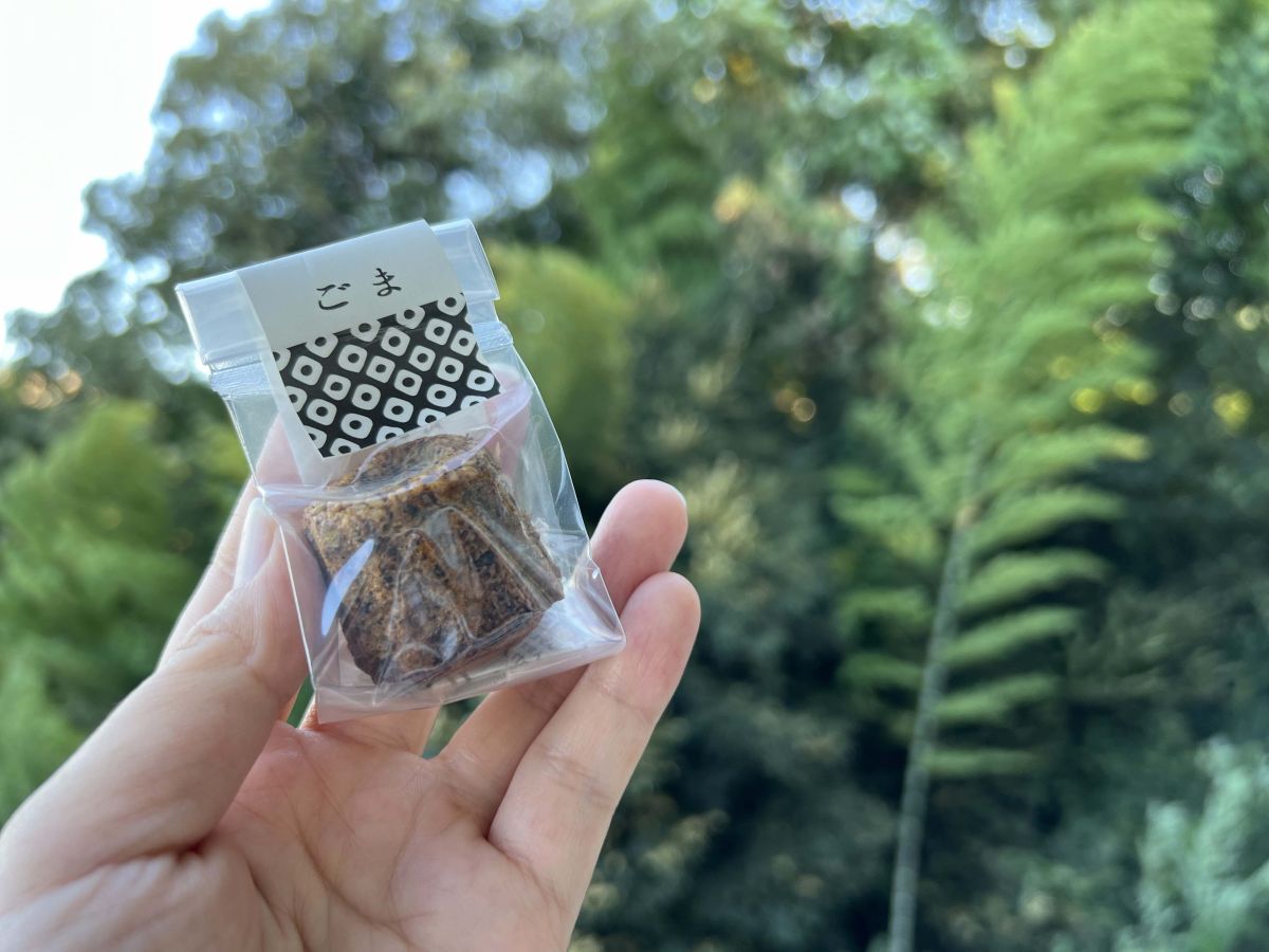 小さなフィナンシェ「COREMO」1個350円