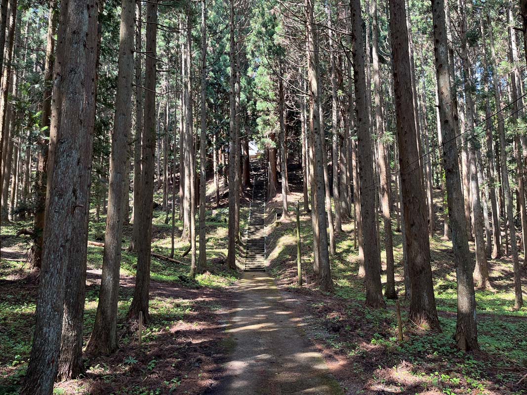 石段を上った先に本殿がある