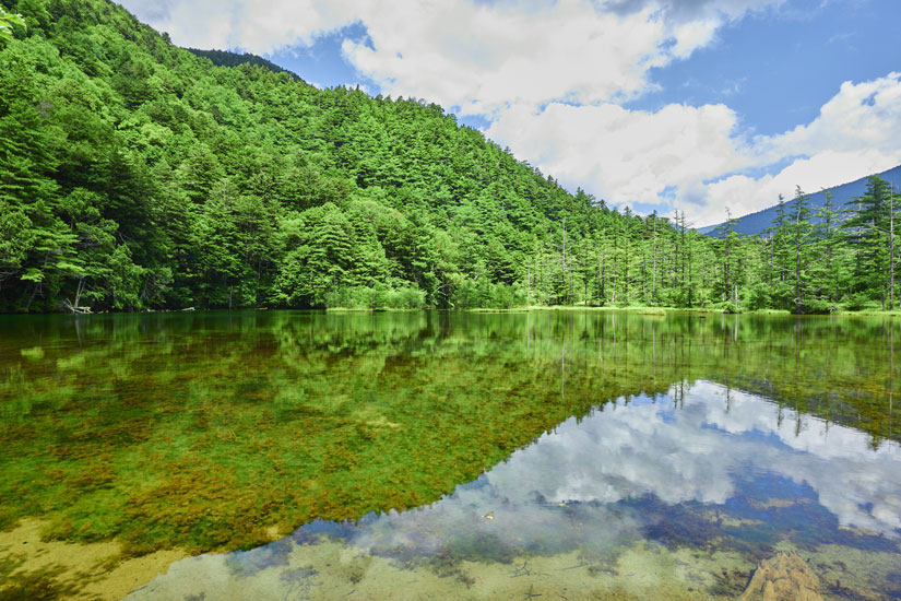 荘厳な雰囲気が漂う、霊験あらたかな明神池