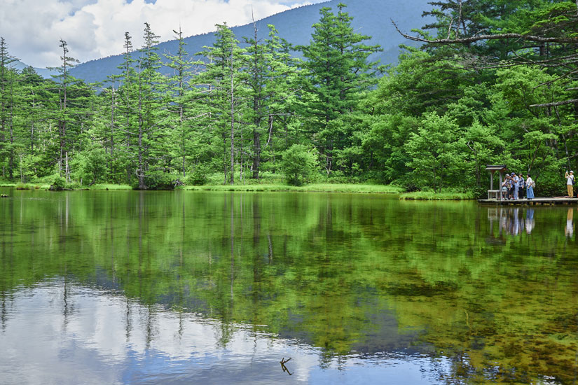 池には常に伏流水が湧き出ているため、寒さ厳しい冬でも全面凍結しないという