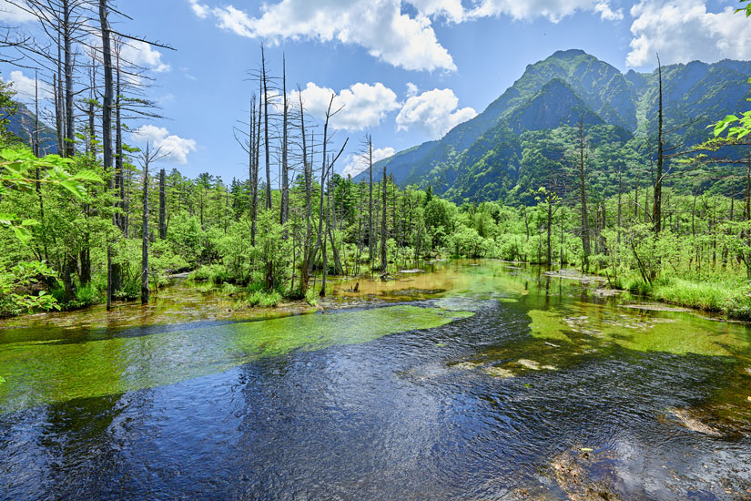 岳沢湿原のデッキから望む景色に心が洗われるよう