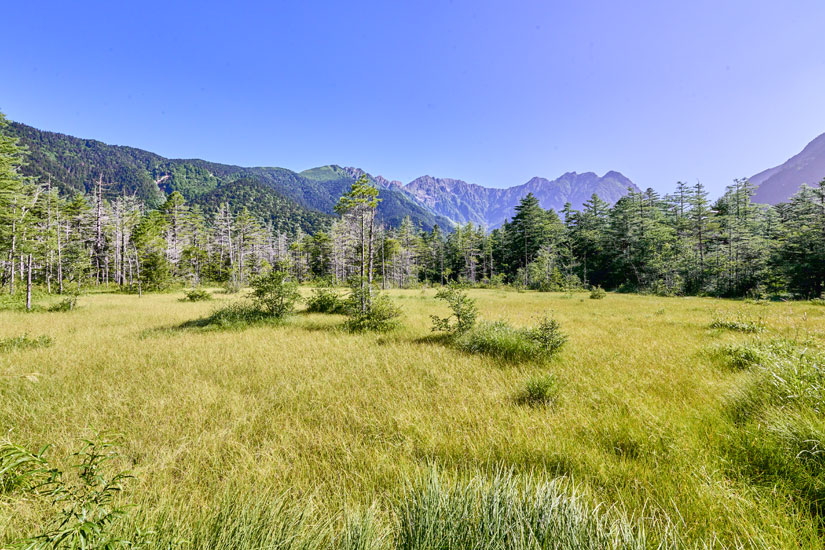 どこか別世界に迷い込んだかのような、小さな湿原
