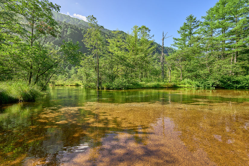 田代池のリフレクションも素晴らしい